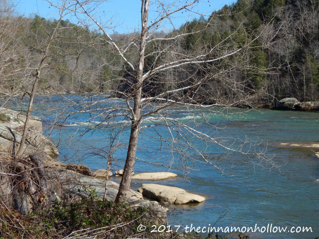 cumberland falls picnic by the river