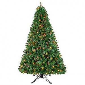sherwood_pine-christmas-tree.jpg
