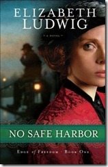 Elizabeth Ludwig No Safe Harbor