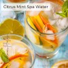 Citrus Mint Spa Water