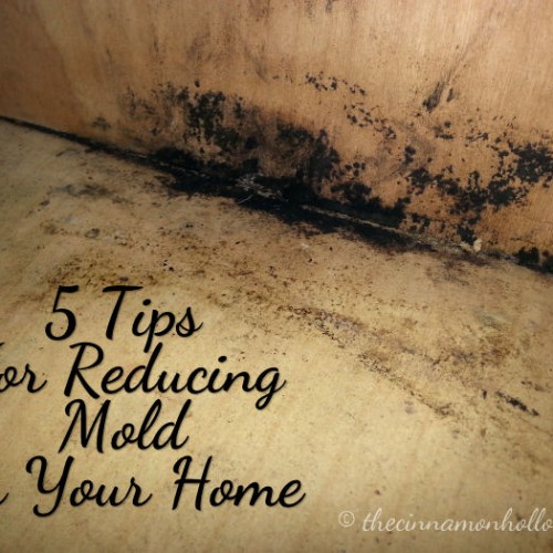 5 Tips For Reducing Mold In Your Home