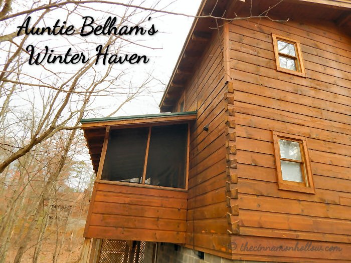 Auntie Belham's Cabin Rentals: Winter Haven