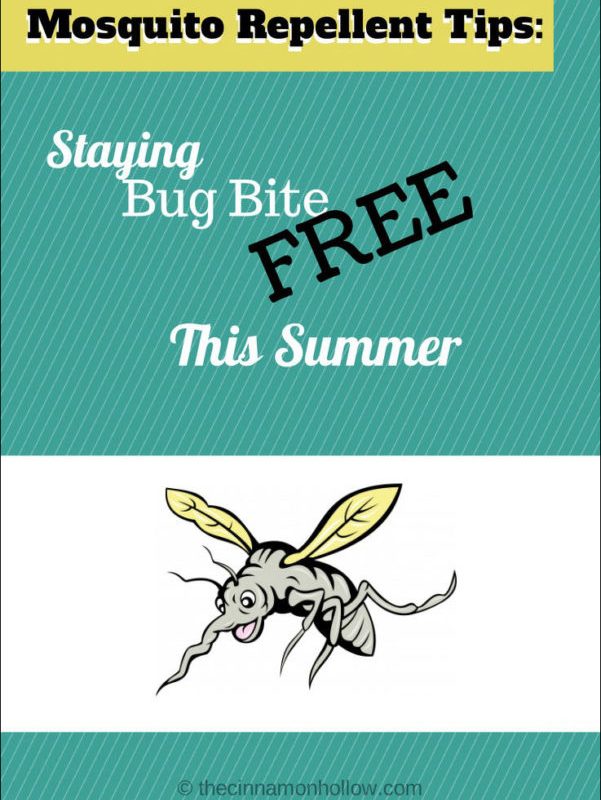 Mosquito Repellent Tips: Staying Bug Bite Free This Summer