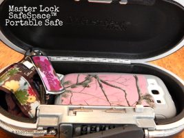 Master Lock SafeSpace Portable Space