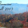 Smoky Mountains Fall 2013