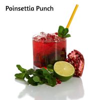 Poinsettia Punch 1