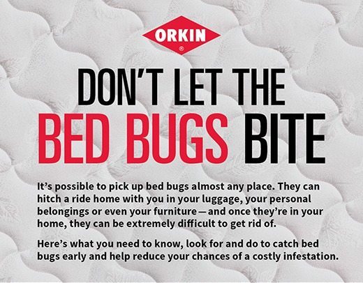 Orkin Bed Bug Feud Game & CleanRest Pillow Encasement #Giveaway #OrkinMan #BedBugFeud