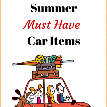 6 Summer Must Have Car Items