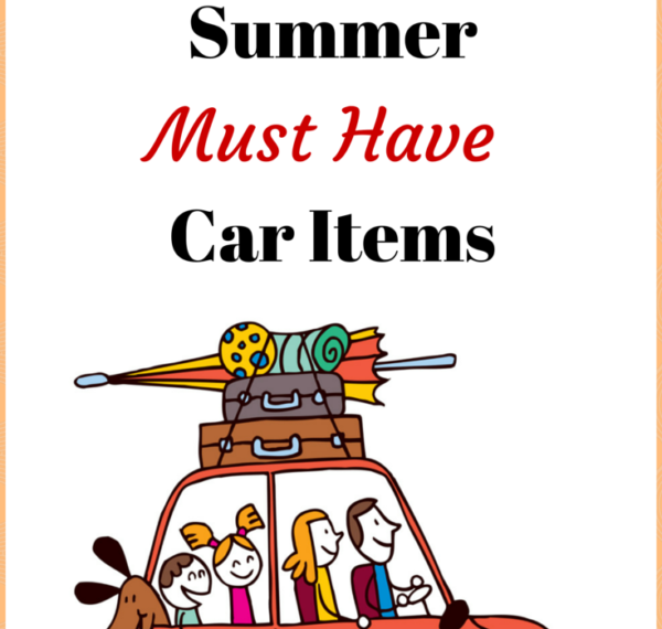 6 Summer Must Have Car Items