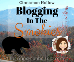 Blogging In The Smokies: Smoky Mountain Attractions