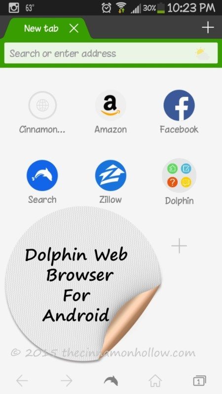 Dolphin Browser