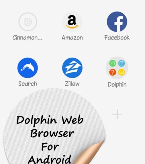 Dolphin Browser