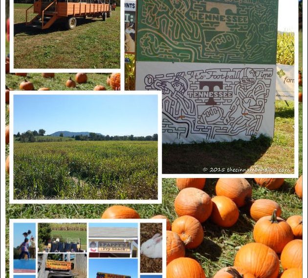 Oakes Family Farm Corn Maze and Pumpkin Patch