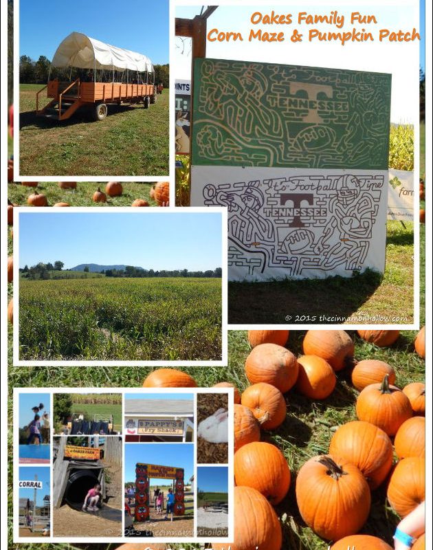 Oakes Family Farm Corn Maze and Pumpkin Patch