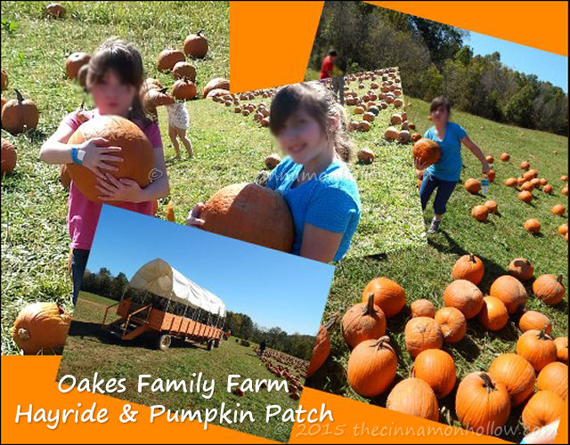 Oakes Family Farm Corn Maze and Pumpkin Patch
