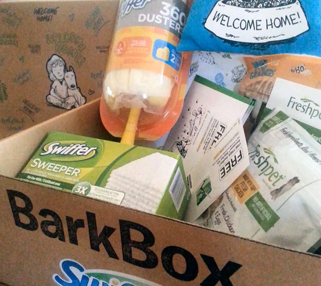 Swiffer And Your Child's First Pet Welcome Home Kit