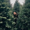 Finding The Perfect Christmas Tree For Your Home