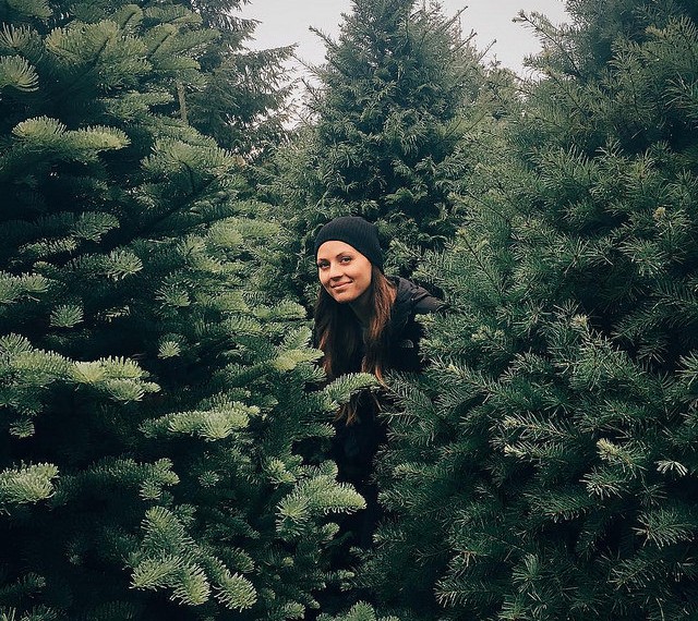 Finding The Perfect Christmas Tree For Your Home