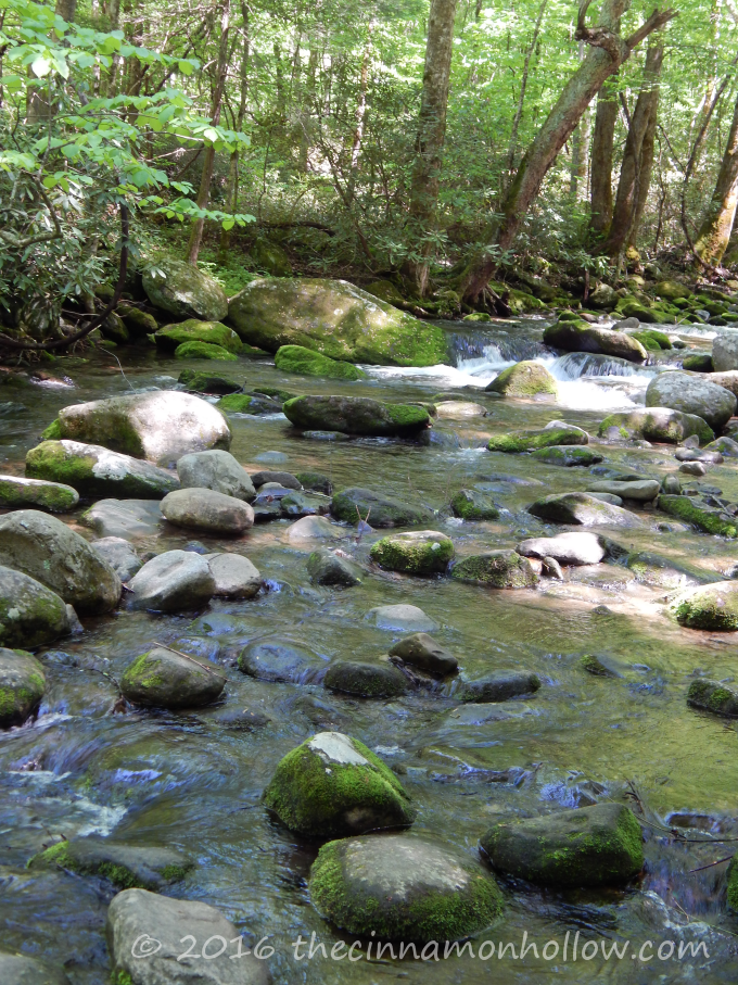 Smoky Mountains - Roaring Forks Motor Trail