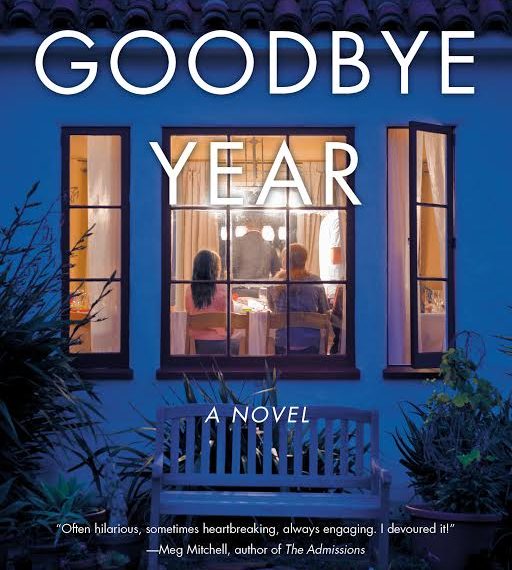 The Goodbye Year By Kaira Rouda
