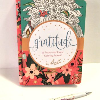 Gratitude: Prayer and Praise Journal With Adult Coloring Pages