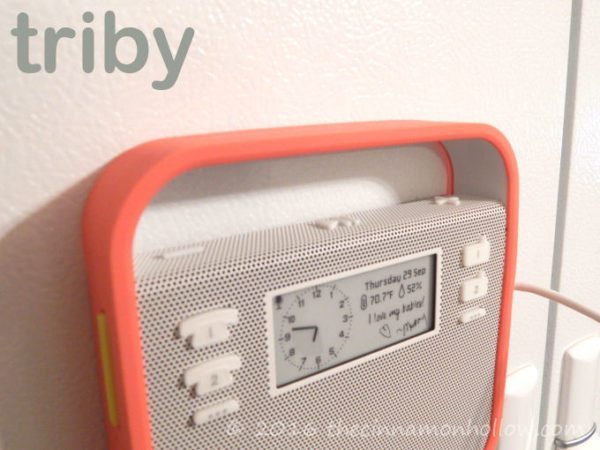 Triby Digital Assistant With Alexa Voice Service