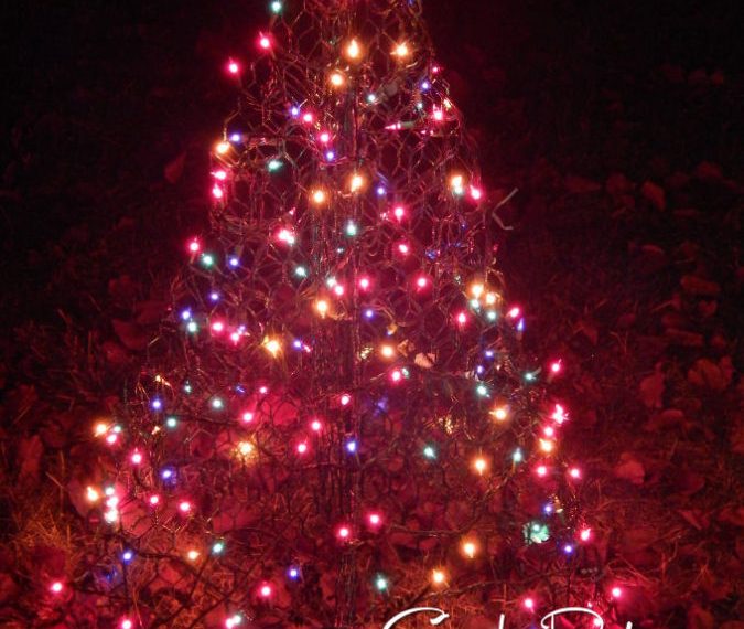 Crab Pot Christmas Trees