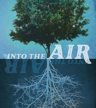 Into the Air by A. K. Downing