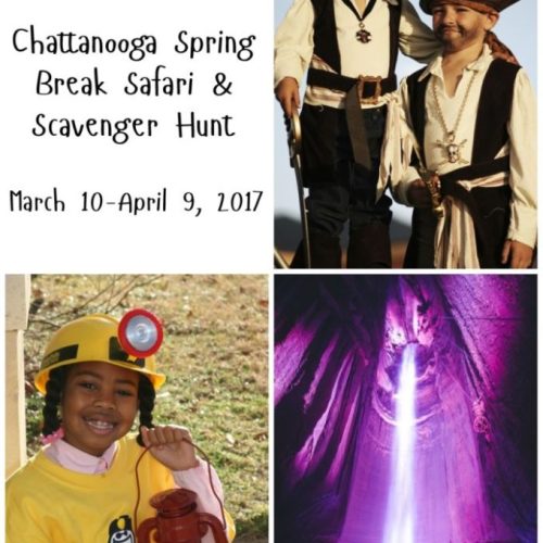 Go On An Adventure During The Chattanooga Spring Break Safari & Scavenger Hunt