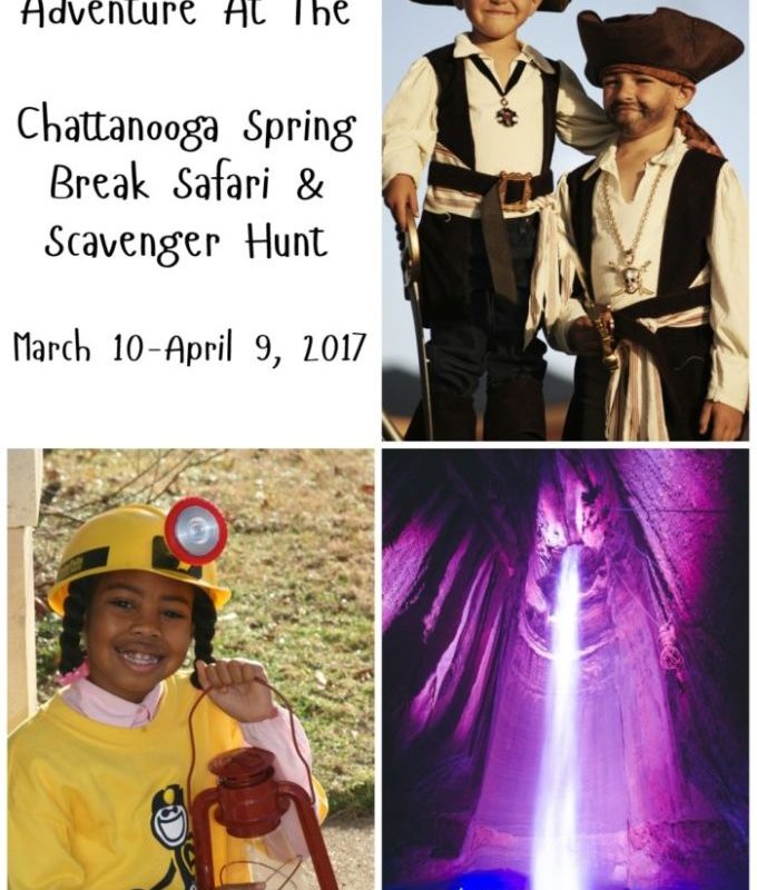 Go On An Adventure During The Chattanooga Spring Break Safari & Scavenger Hunt
