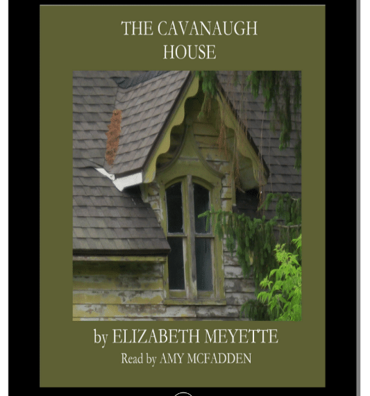Check Out The Cavanaugh House By Elizabeth Meyette