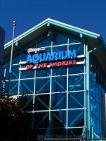 Ripleys Aquarium Of The Smokies