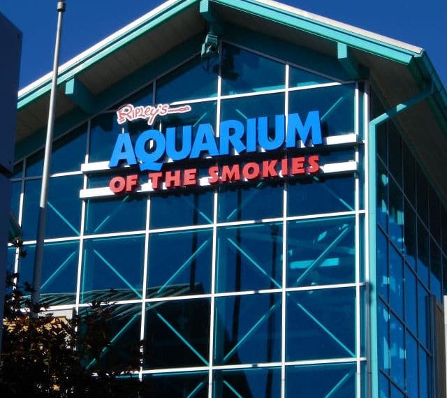 Ripley’s Aquarium Of The Smokies