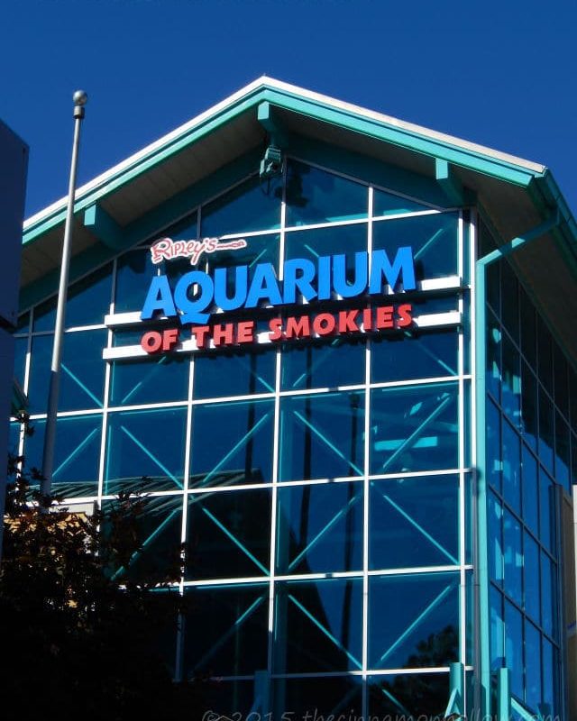 Ripley’s Aquarium Of The Smokies