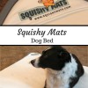 Squishy Mats Dog Bed