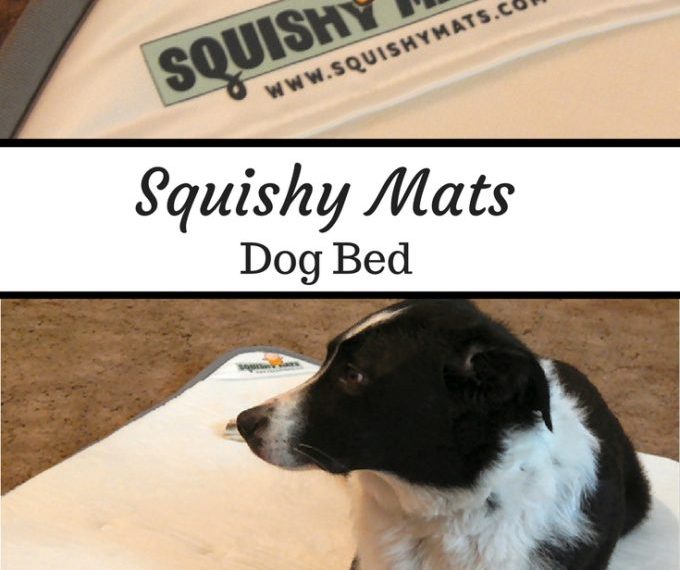 Squishy Mats Dog Bed