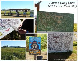 oakes family fun corn maze