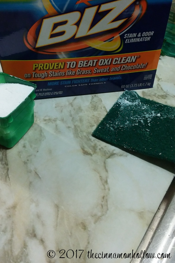 Holiday Prep With Powdered Biz - Remove Kitchen Stains