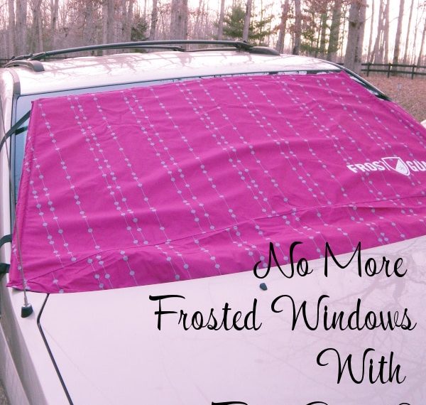 No More Frozen Windshields