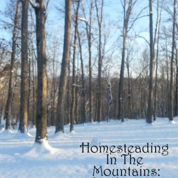 Our homesteading journey