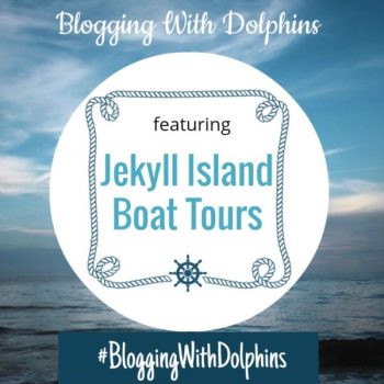 I’ll Be Blogging With Dolphins This Summer!