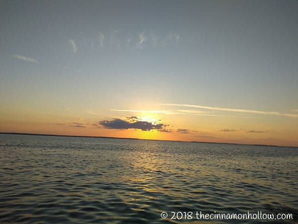 Jekyll Island Sunset Dolphin Tour