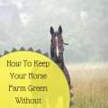 How To Keep Your Horse Farm Green Without Spending A Fortune