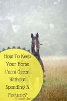 How To Keep Your Horse Farm Green Without Spending A Fortune