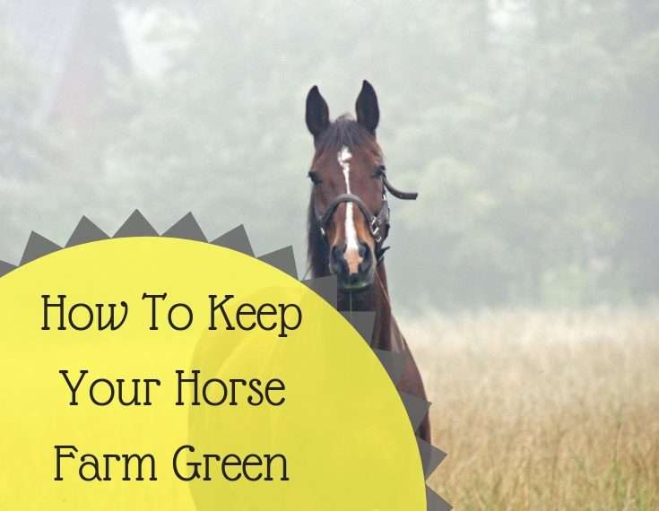 How To Keep Your Horse Farm Green Without Spending A Fortune