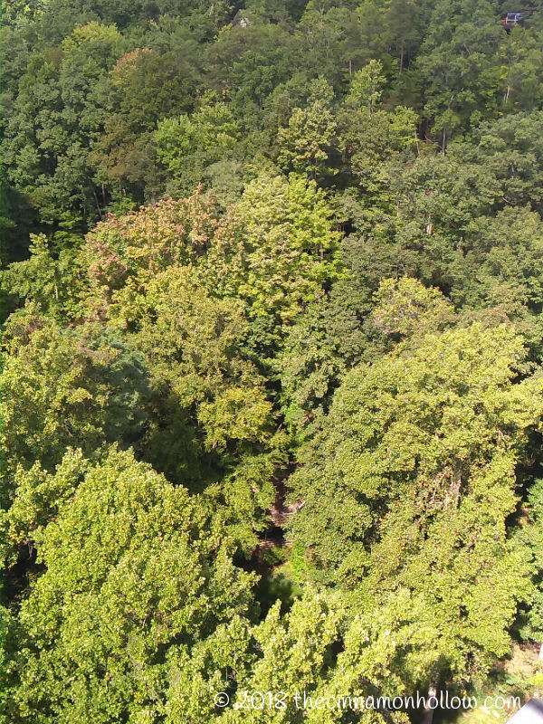 Ober Gatlinburg Above The Tree Tops