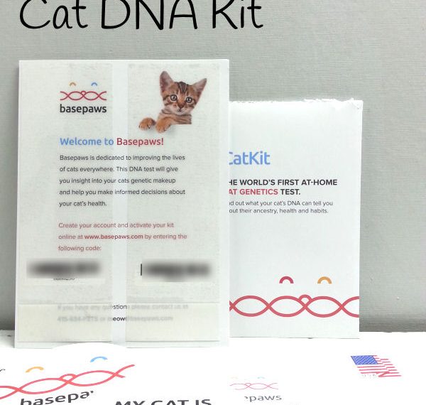 Basepaws Cat DNA Testing Kit
