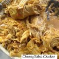 Cheesy Salsa Chicken Instant Pot THM S