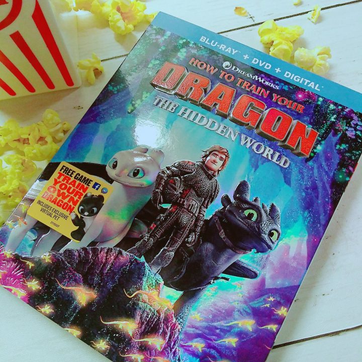 How To Train Your Dragon: The Hidden World Family Movie Night