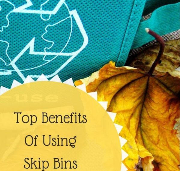 Top Benefits Of Using Skip Bins Adelaide Services